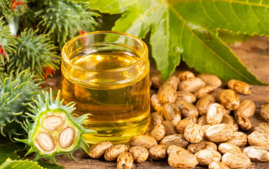 Unveiling the Wonders of Castor Oil for Hair, Skin, and More