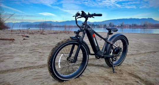 Exploring the Top Electric Bike Companies to Watch