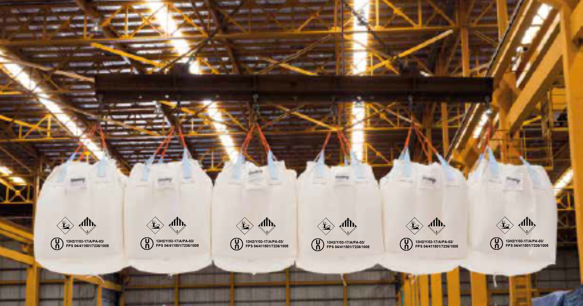 The Global Bulk Bag Packaging Market with FPS